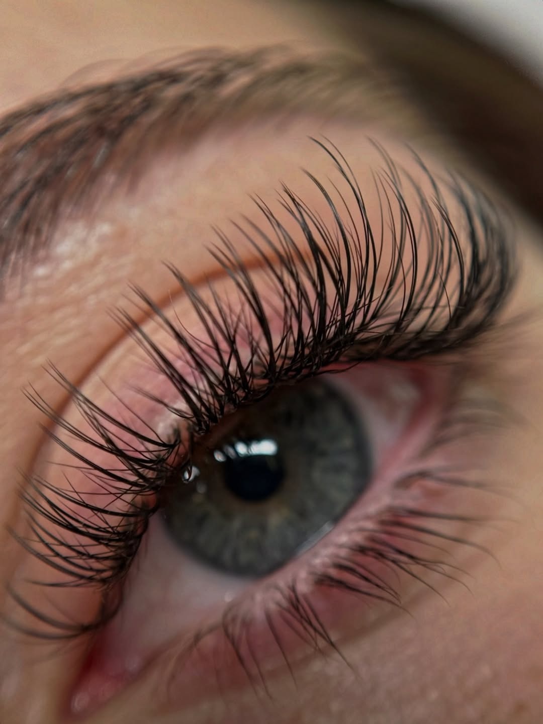 Lash extensions at The Hidden Beauty Salon in Cambridge Lash extensions at The Hidden Beauty Salon in Cambridge